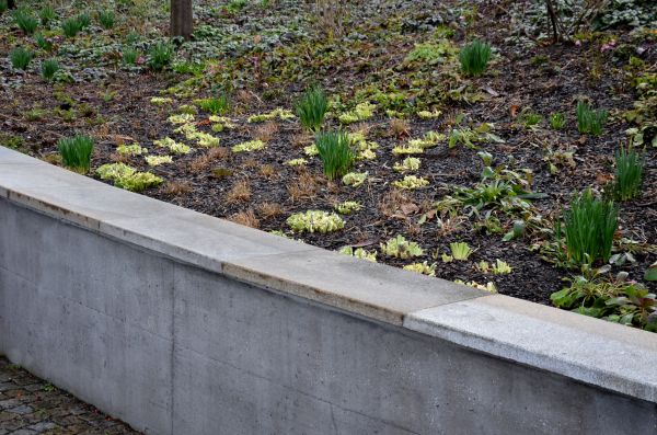 Cost of Concrete Wall Construction in Honolulu