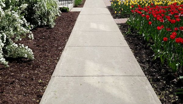 Cost of Sidewalk Slab Replacement in Honolulu