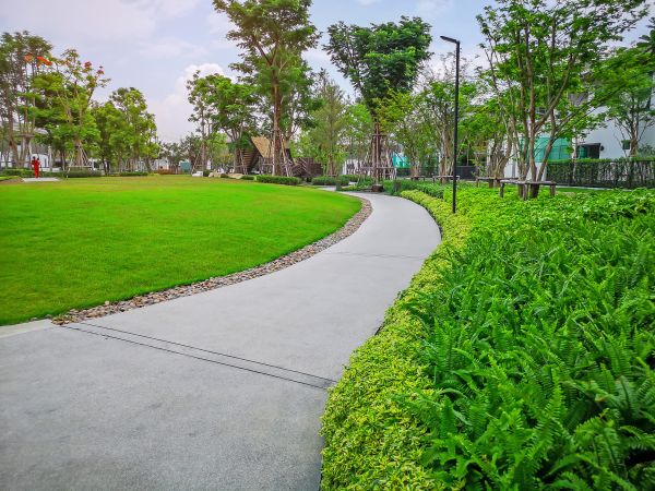 Cost of Cement Walkway Service in Honolulu