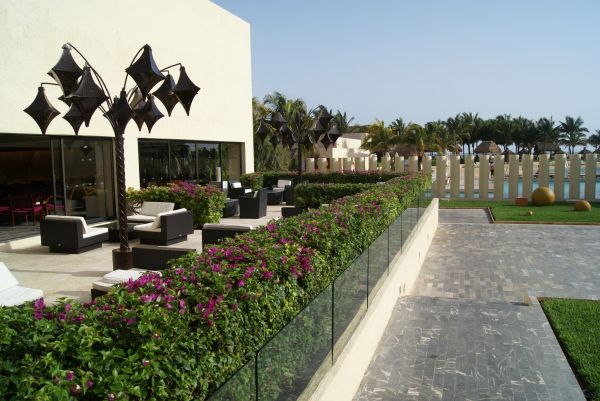 Cost of Patio Path Installation in Honolulu